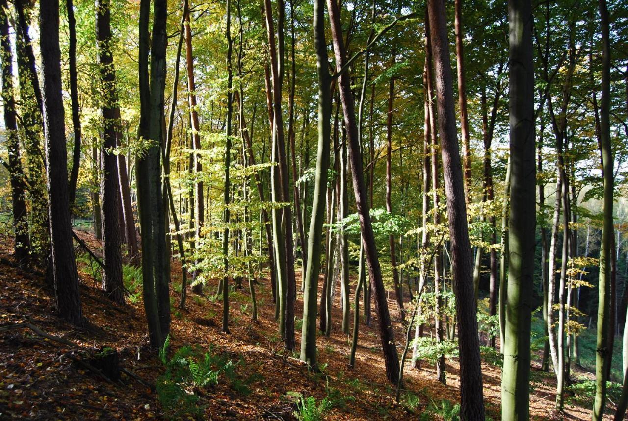 Osrodek Wypoczynkowy Laguna Lubniewice Exteriör bild