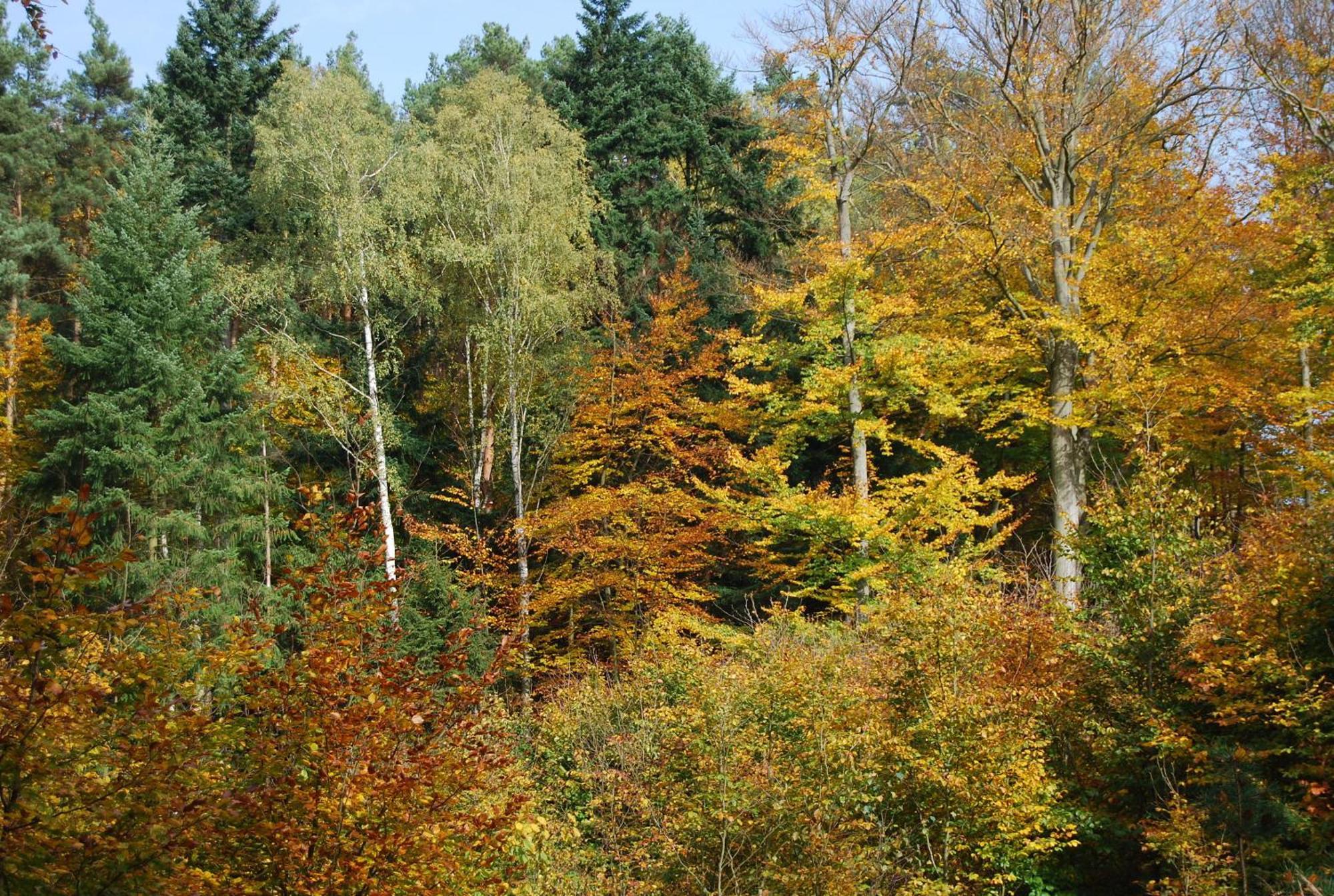 Osrodek Wypoczynkowy Laguna Lubniewice Exteriör bild